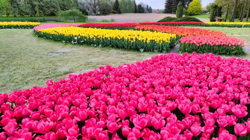Ogród Botaniczny w Łodzi